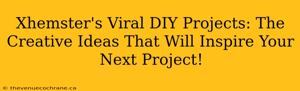 Xhemster's Viral DIY Projects: The Creative Ideas That Will Inspire Your Next Project!